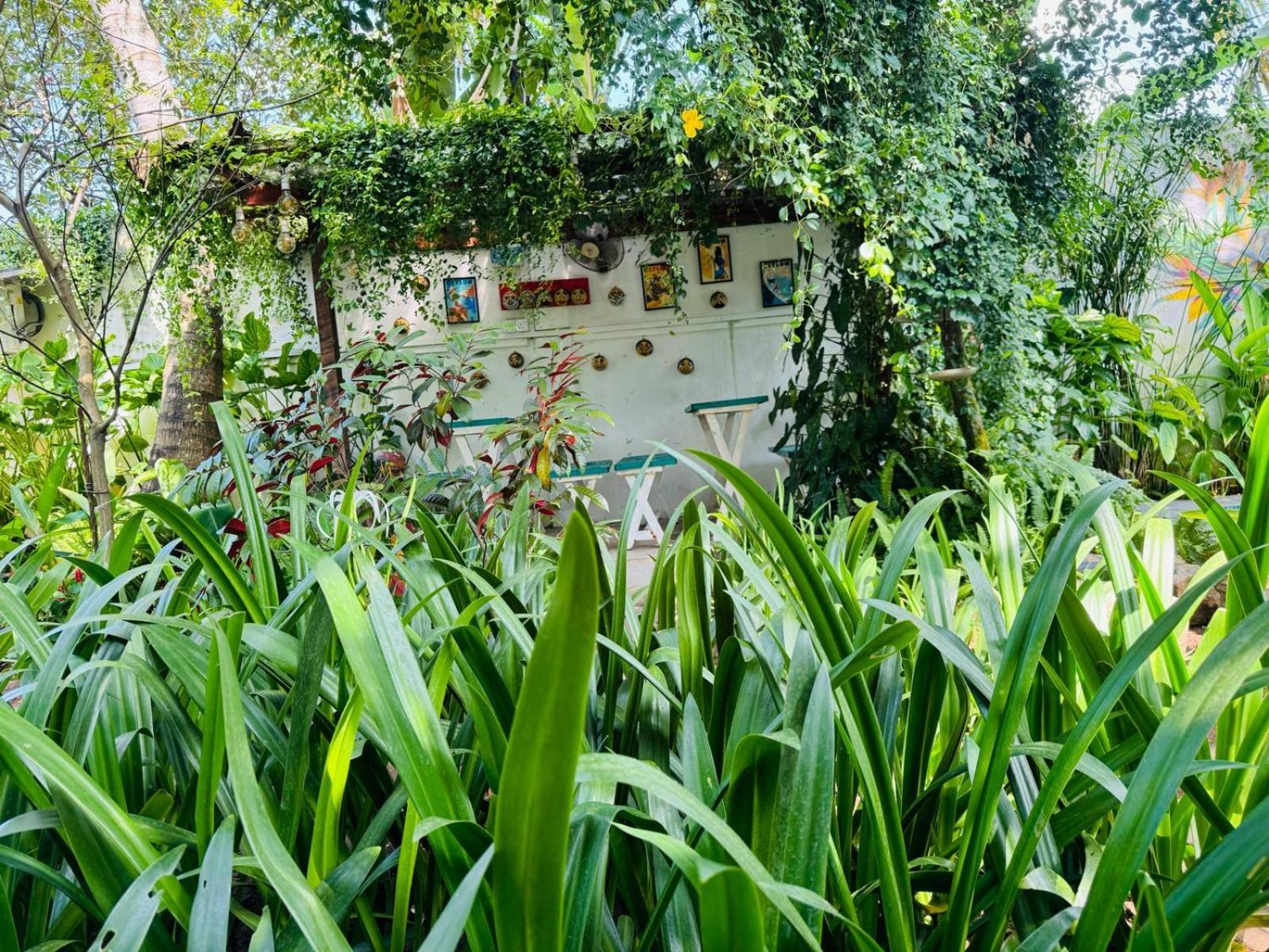 Double Mango Villa Katunayake Exterior photo